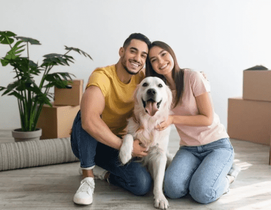 fb2ffbf4c071f9b2edbe1ae9e8d3929a.png Family and Pet